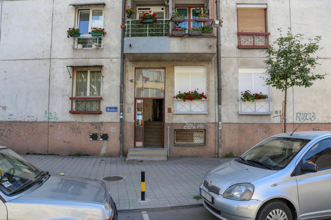 Apartman Marija Apartment Pirot Exterior photo