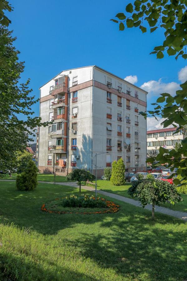 Apartman Marija Apartment Pirot Exterior photo