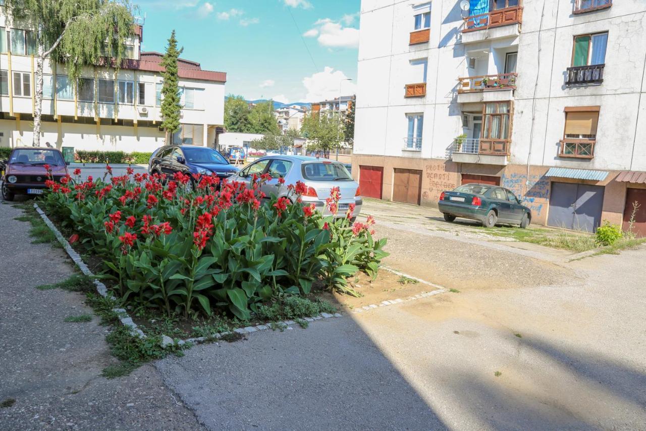 Apartman Marija Apartment Pirot Exterior photo